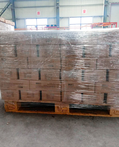 consegna02_0000_img_8237